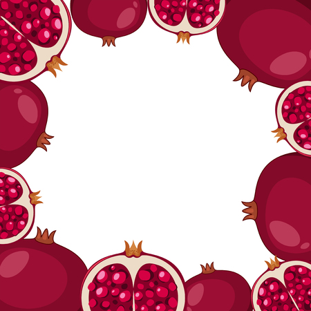 Border template with pomegranate fruit illustrationのイラスト素材