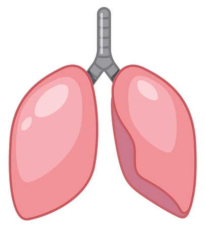 A Cartoon of Human Lung illustrationのイラスト素材