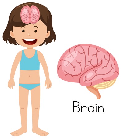 A Cartoon of Human Brain illustrationのイラスト素材