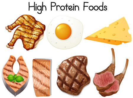 A Set of High Protein Food illustrationのイラスト素材