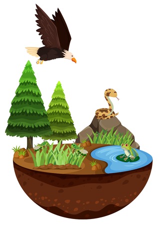 Natural Landscape and Wild Animals illustrationのイラスト素材