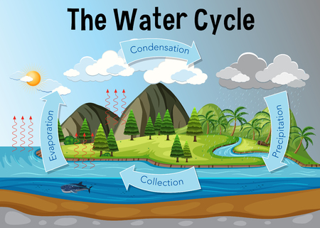 The water cycle diagram illustrationのイラスト素材