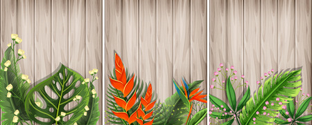 A Set of Plant with Wooden Background illustrationのイラスト素材