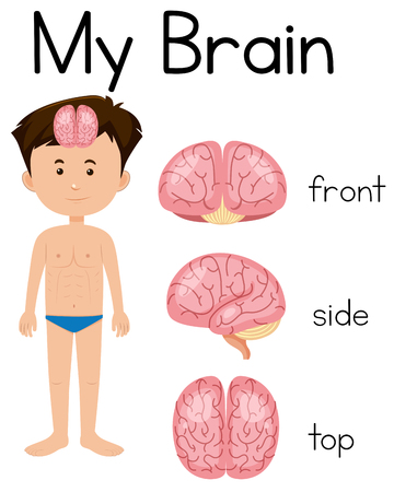 A Cartoon of Human Brain illustrationのイラスト素材