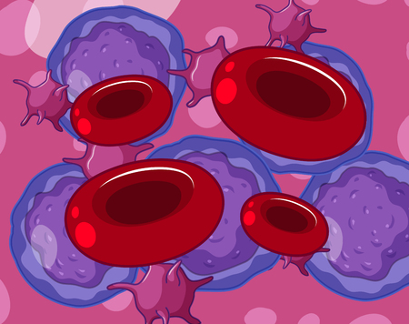 Red white blood cells and platelets illustrationのイラスト素材