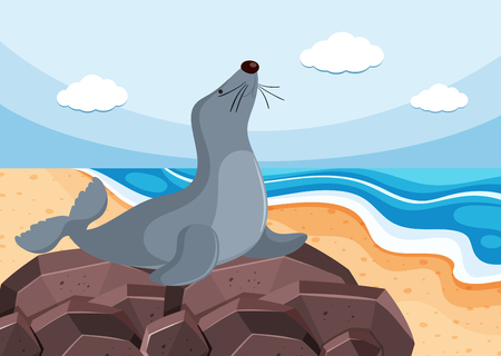 Gray seal on the stone illustrationのイラスト素材
