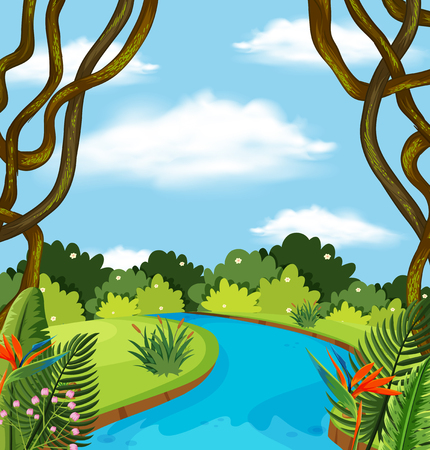 A river in forest landscape illustrationのイラスト素材