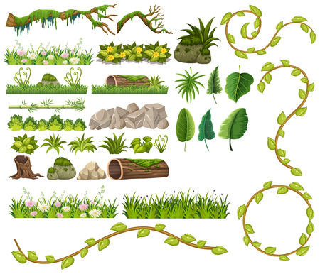 A set of jungle element illustrationのイラスト素材