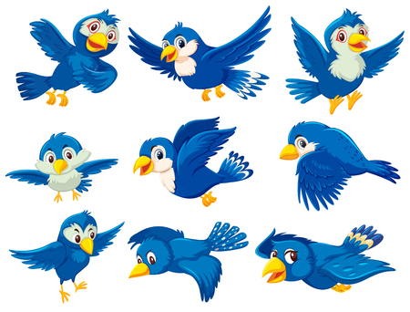 A set of blue bird illustrationのイラスト素材