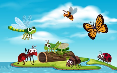 Bug on the island illustrationのイラスト素材