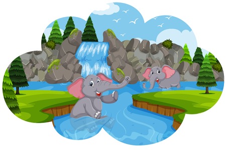 Elephants playing in water illustrationのイラスト素材