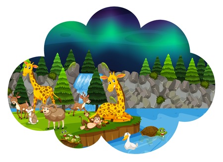 Wild animals at night illustrationのイラスト素材