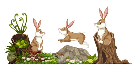 Rabbit in nature landscape illustrationのイラスト素材