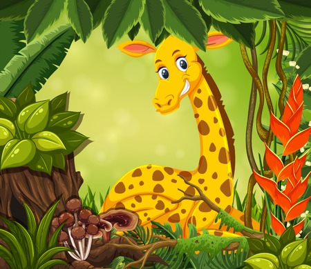 Giraffe on the nature frame illustrationのイラスト素材