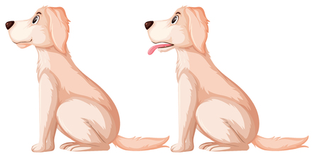 Side of golden retriever illustrationのイラスト素材