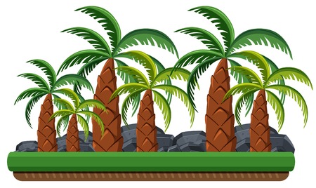 Palm tree in the nature illustrationのイラスト素材