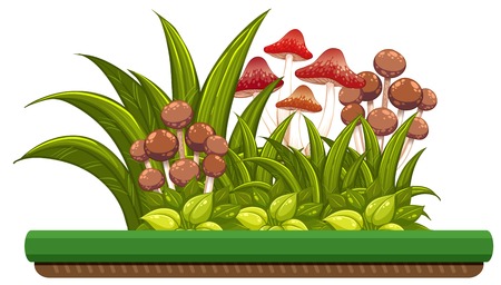 nature object with mushrooms illustrationのイラスト素材