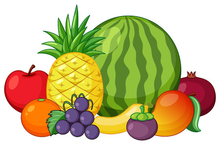 Set of mixed fruit illustrationのイラスト素材