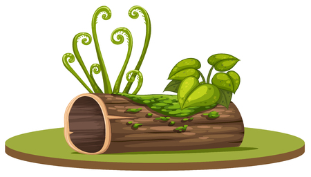 Isolated wood stump on white background illustrationのイラスト素材