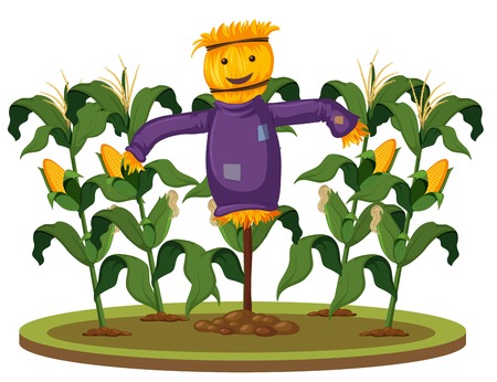 A scarecrow at corn farm illustrationのイラスト素材