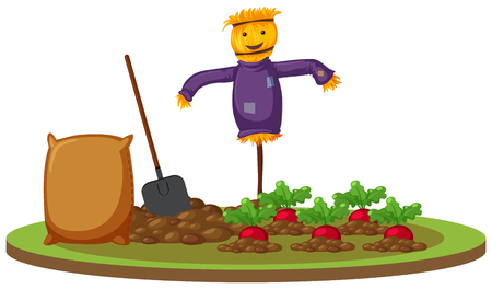 A scarecrow at radish farm illustrationのイラスト素材