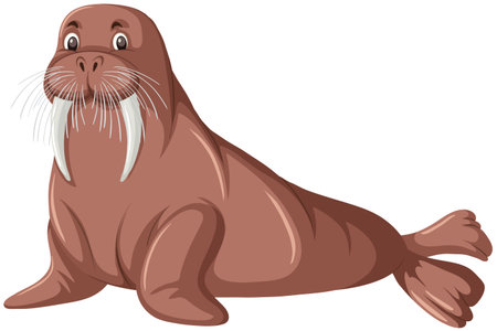 A walrus on white background illustrationのイラスト素材