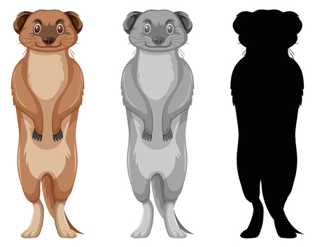 Set of meerkat character illustrationのイラスト素材
