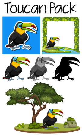 A pack of cute toucan illustrationのイラスト素材