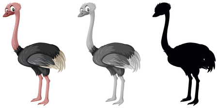Set of ostrich character illustrationのイラスト素材