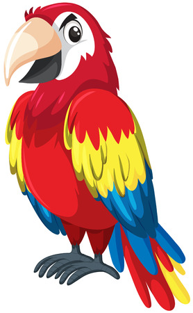 A red parrot character illustrationのイラスト素材