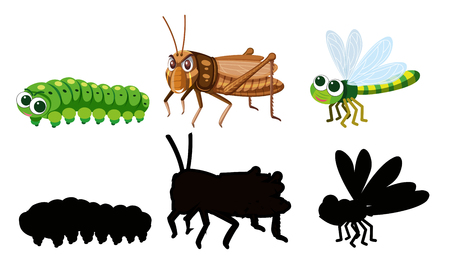 Set of insect character illustrationのイラスト素材