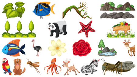 Set of animal and plant illustrationのイラスト素材