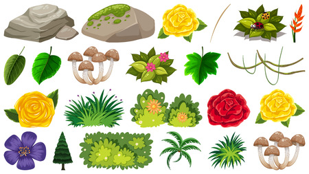 Set of ornamental plants illustrationのイラスト素材