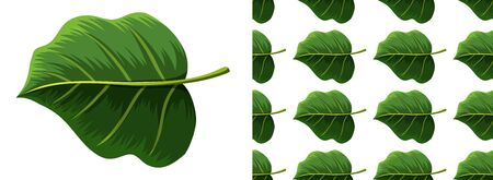 Seamless pattern of leaves on white  illustrationのイラスト素材