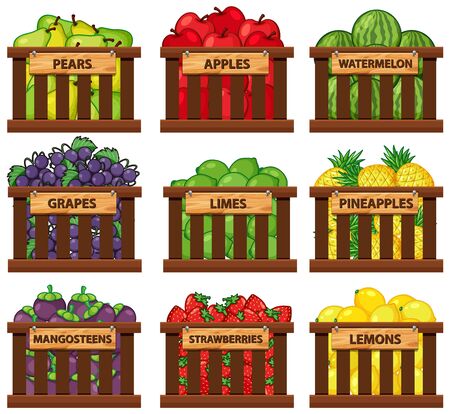 Nine types of fruits in wooden baskets illustrationのイラスト素材