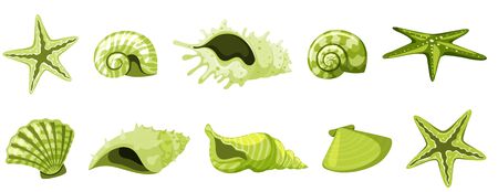 Set of isolated seashells in green color illustrationのイラスト素材
