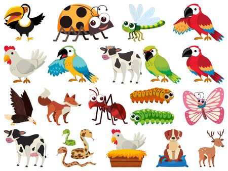 Set of isolated objects theme animals illustrationのイラスト素材