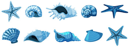 Set of isolated seashells in blue color illustration