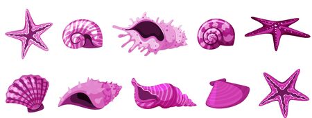 Set of isolated seashells in pink color illustrationのイラスト素材