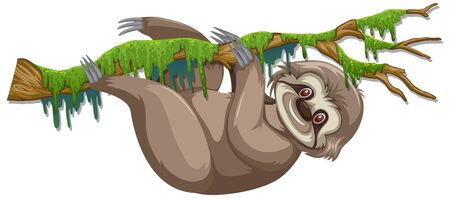 Cute sloth hanging on the branch on white background illustrationのイラスト素材