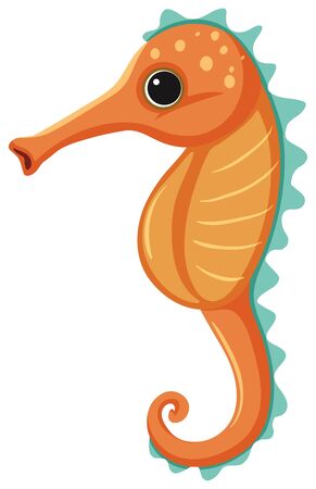 Orange seahorse on white background illustrationのイラスト素材