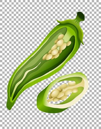 Green chili on transparent background illustrationのイラスト素材