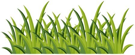 Green grass on white background illustrationのイラスト素材