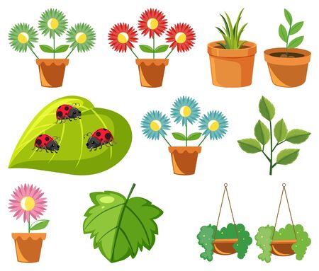 Large set of nature with flowers and leaves on white background illustrationのイラスト素材