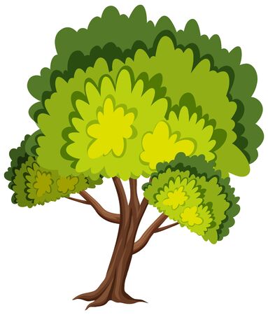 One big tree on white background illustrationのイラスト素材