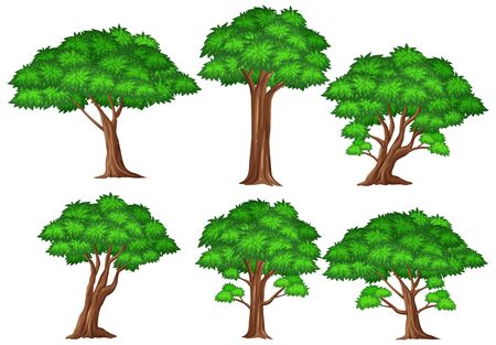 Big green trees on white background illustrationのイラスト素材