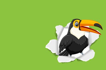 Background template design with wild toucan bird illustrationのイラスト素材