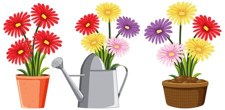 Colorful flowers in pots and watering can on white background illustrationのイラスト素材