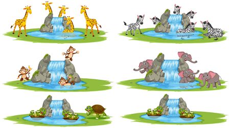 Group of wild animals and small waterfall cartoon character on white background illustrationのイラスト素材