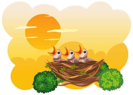 Chicks and its mother bird in nature illustrationのイラスト素材